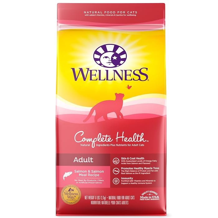 Wellness Complete Health Adult Dry Cat Food bag — Salmon 6lb variant pictured; the linked Indoor Chicken 11.5lb listing is the same product line