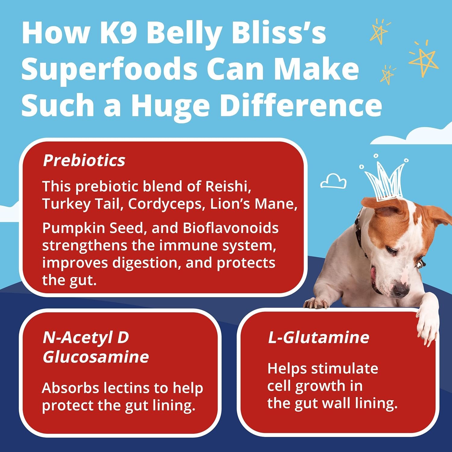 Pup Labs K9 Belly Bliss
