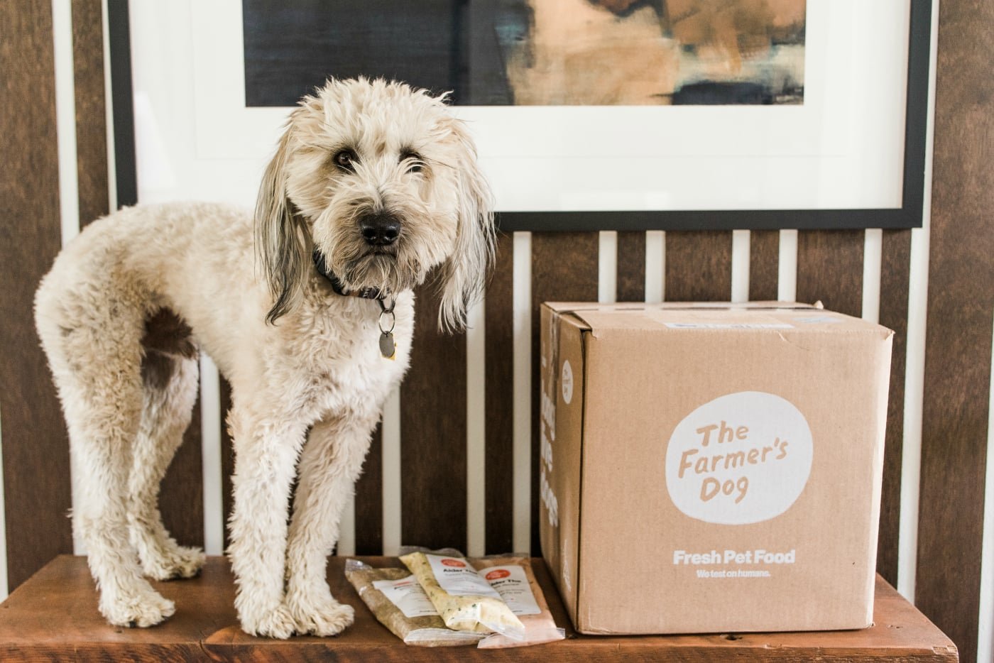 The Farmer's Dog